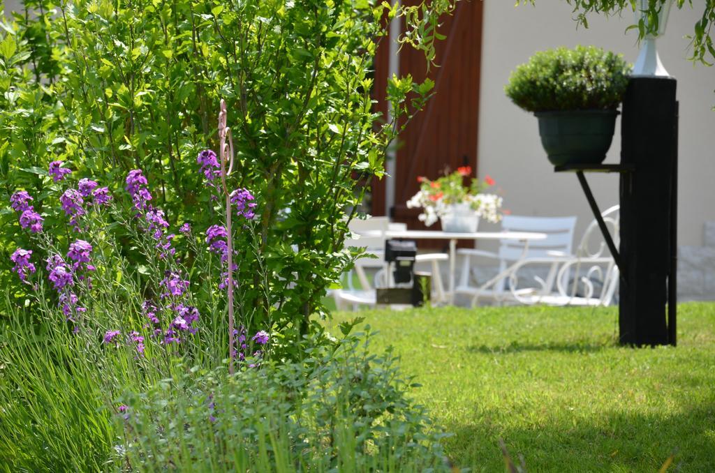 Bed and Breakfast Le Pré aux Daims à Saint-Étienne-la-Thillaye Extérieur photo