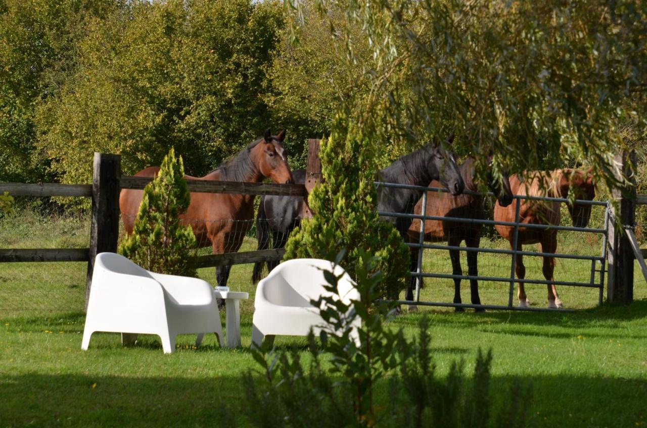 Bed and Breakfast Le Pré aux Daims à Saint-Étienne-la-Thillaye Extérieur photo